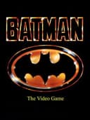 Batman: The Video Game