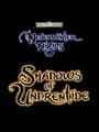 Neverwinter Nights: Shadows of Undrentide cover