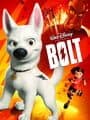 Bolt cover