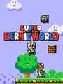 Super Bernie World cover