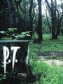 P.T. cover