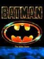 Batman: The Video Game cover