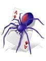 Microsoft Spider Solitaire cover