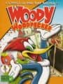 Woody Woodpecker: Escape from Buzz Buzzard Park cover