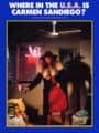 Where in the U.S.A. is Carmen Sandiego? cover