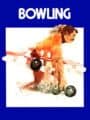 Bowling cover