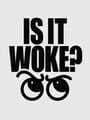 Is It Woke? cover