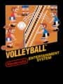Volleyball cover