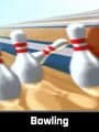 Bowling cover