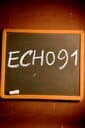 Echo 91 cover