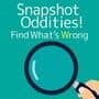 Snapshot Oddities! Find What's Wrong cover