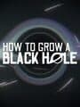 How to Grow a Black Hole cover
