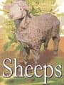 Sheeps cover