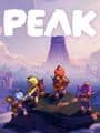 Peak cover