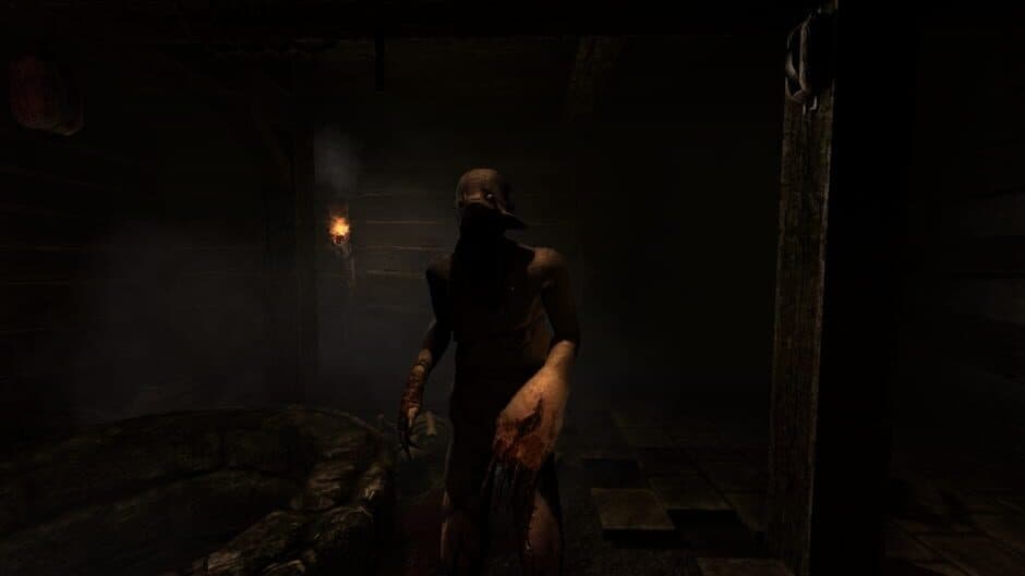 Amnesia: Collection screenshot 1