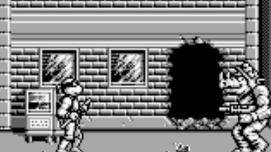 Teenage Mutant Ninja Turtles II: Back from the Sewers