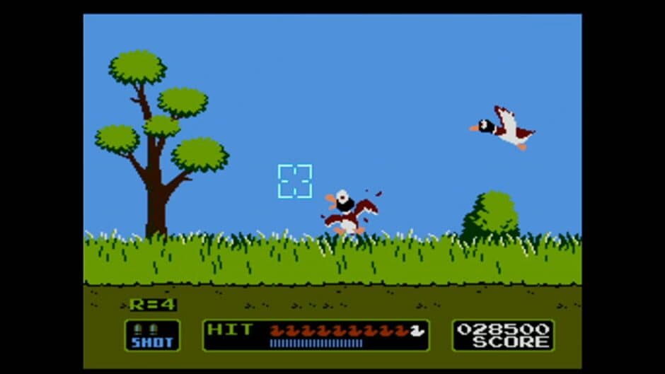 Duck Hunt
