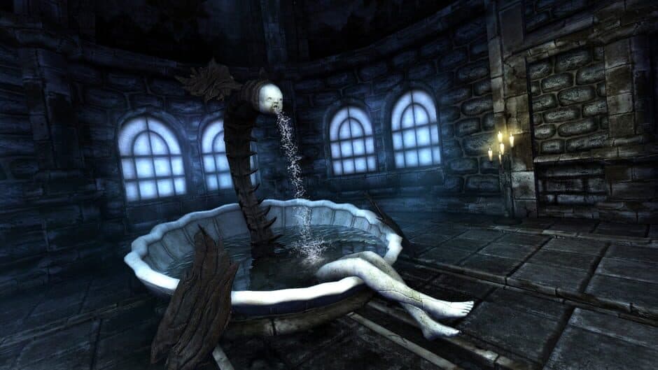 Amnesia: Collection screenshot 4