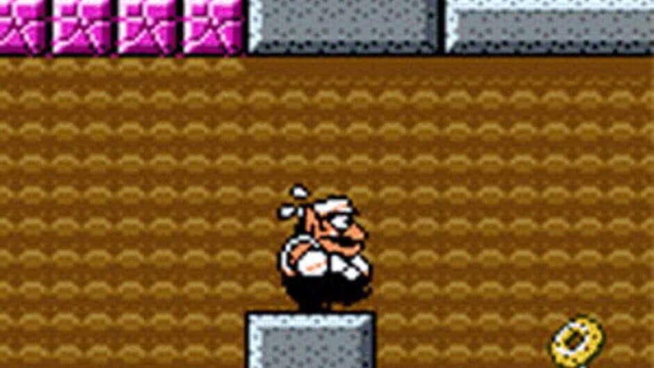 Wario Land 3