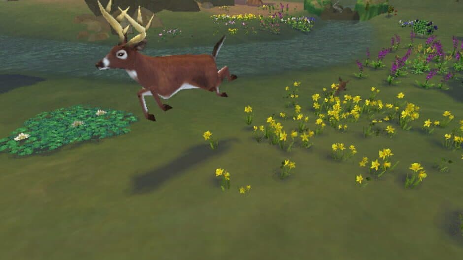 SimAnimals screenshot 1