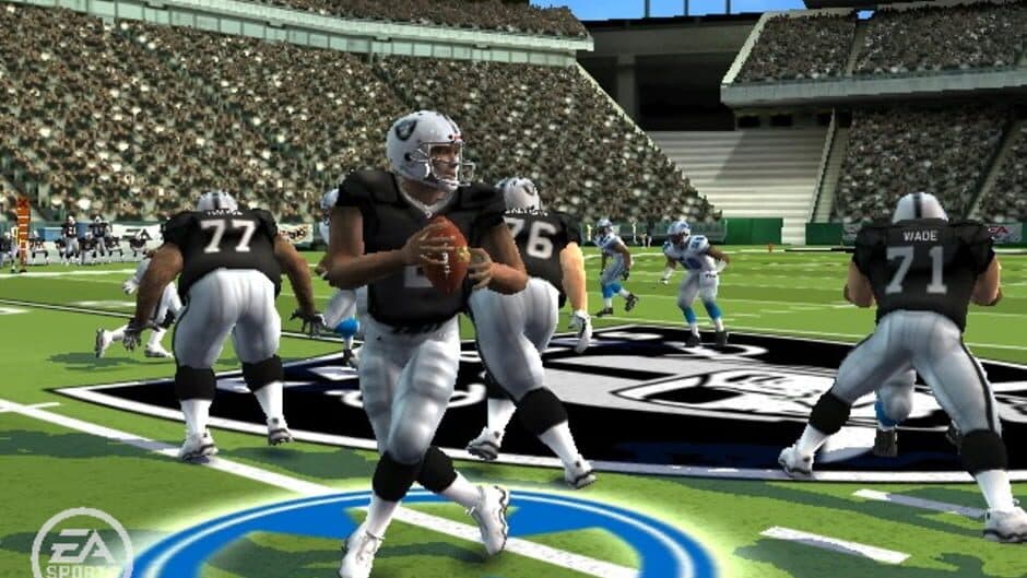 Madden NFL 09 screenshot 5
