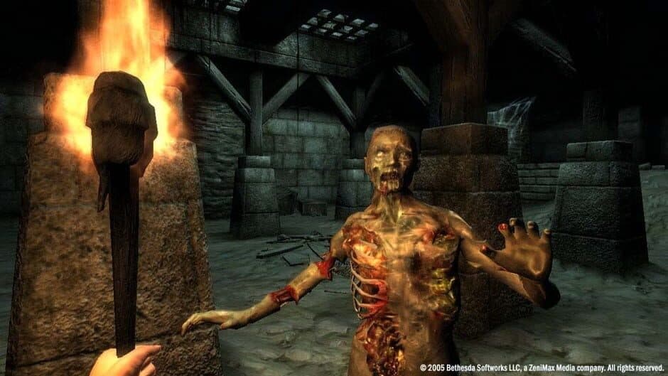 The Elder Scrolls IV: Oblivion - Game of the Year Edition Deluxe screenshot 2