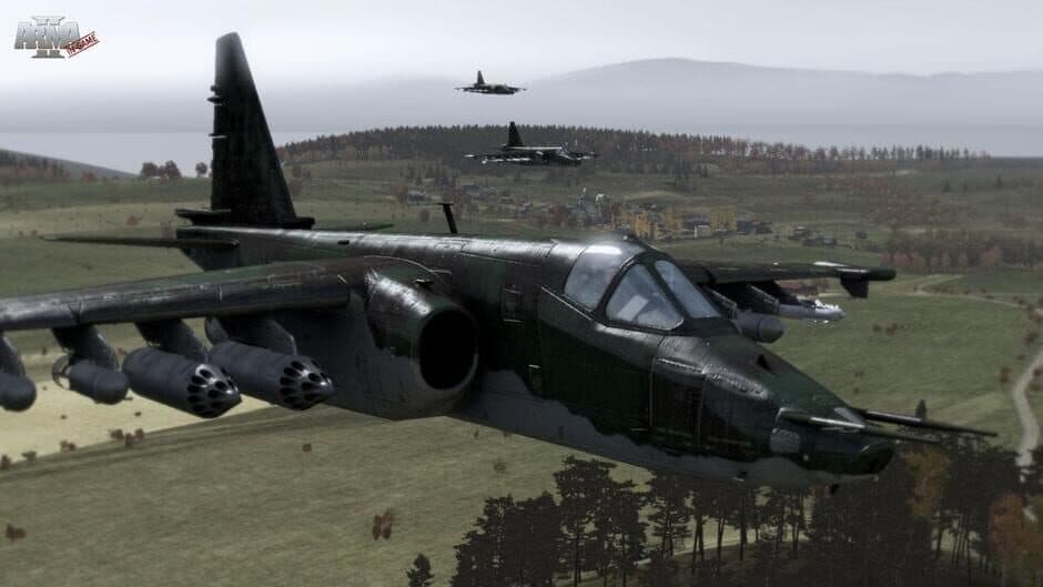Arma 2 screenshot 5