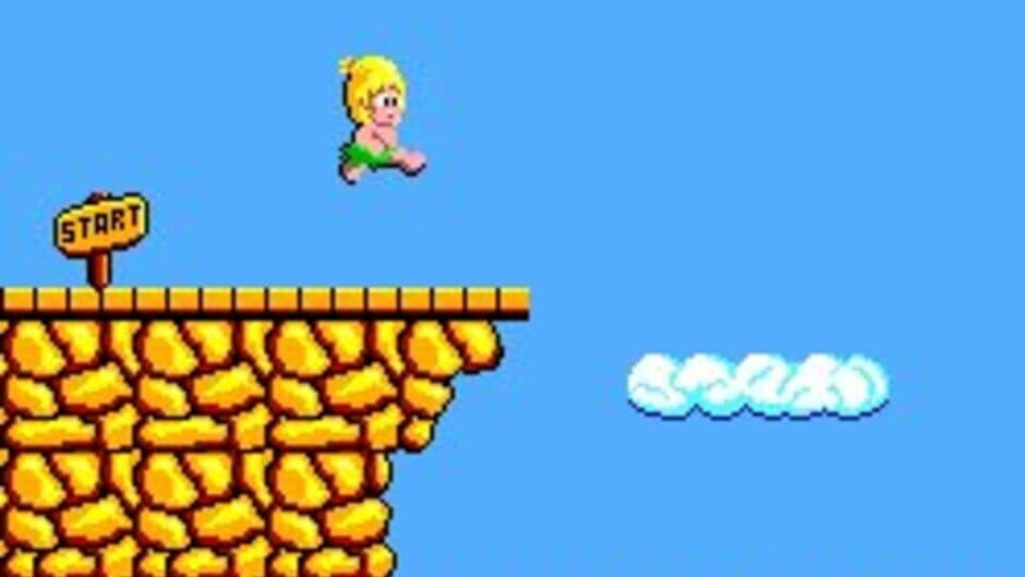 Wonder Boy screenshot 5