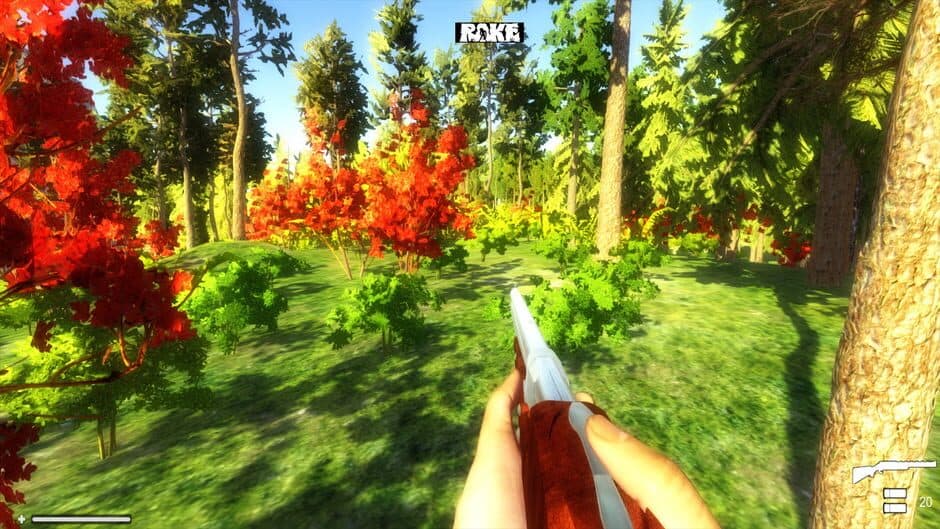Rake screenshot 2