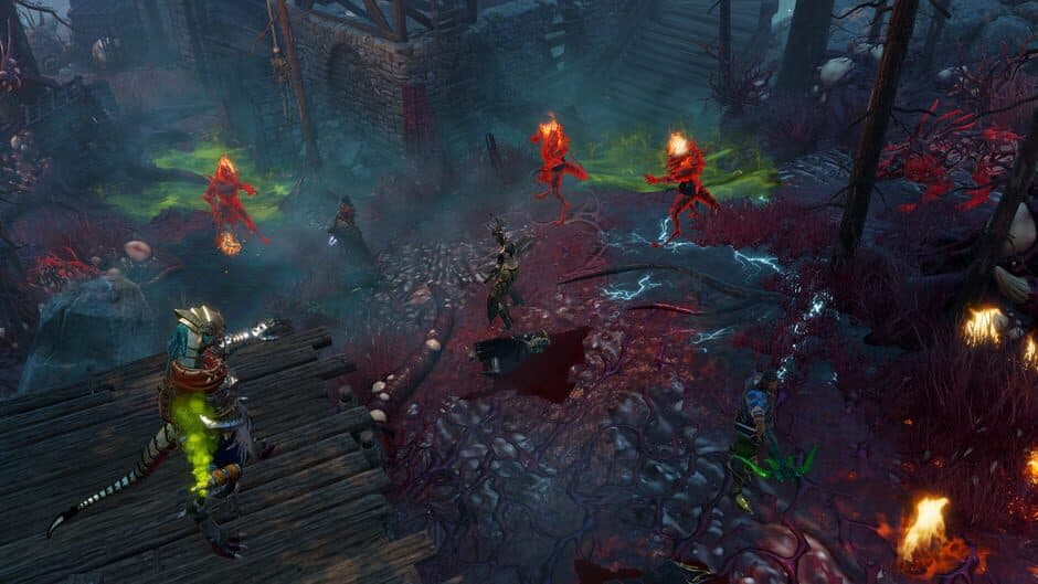 Divinity: Original Sin II - Definitive Edition screenshot 2