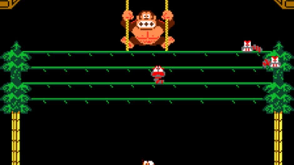 Donkey Kong 3 screenshot 6