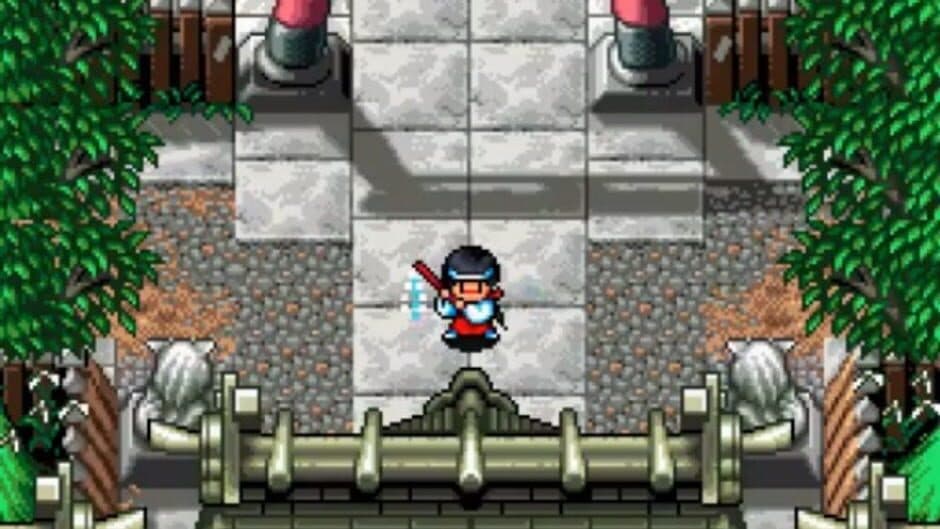 Pocky & Rocky screenshot 1