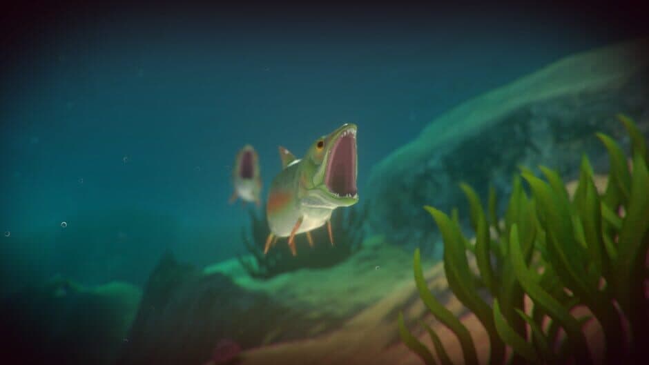 Feed and Grow: Fish screenshot 4