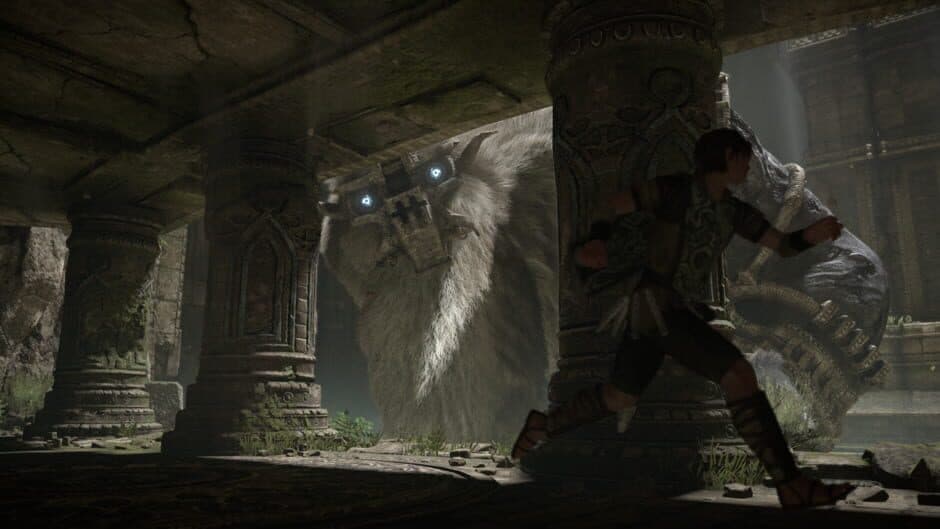 Shadow of the Colossus screenshot 5