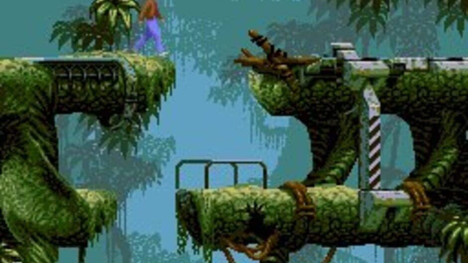 Flashback: The Quest for Identity