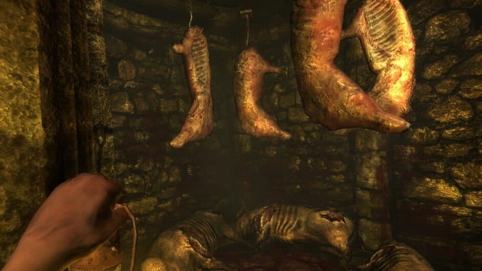 Amnesia: Collection screenshot 2