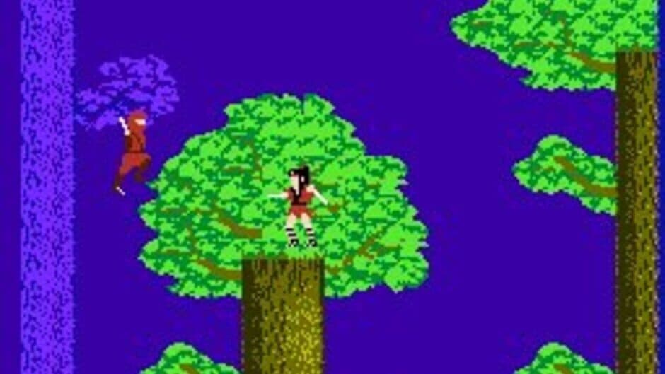 The Legend of Kage screenshot 1