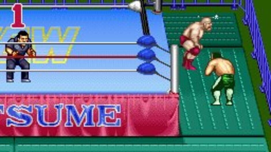 Natsume Championship Wrestling screenshot 5