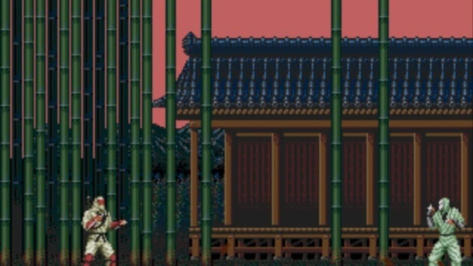 The Revenge of Shinobi screenshot 3