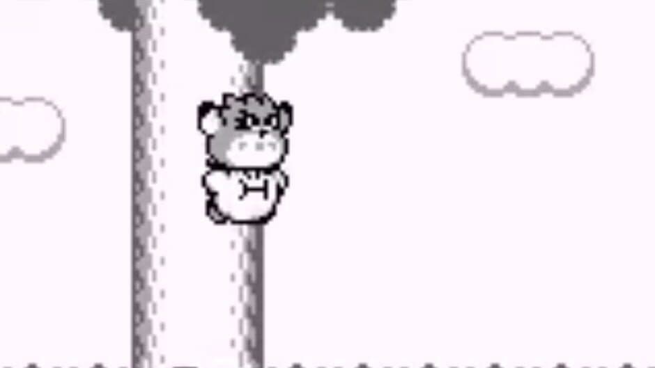 Kirby's Dream Land 2 screenshot 2