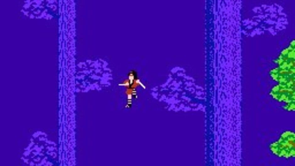 The Legend of Kage screenshot 2