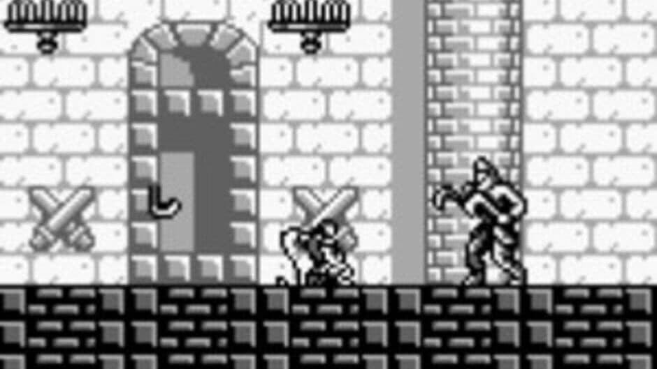 Castlevania: The Adventure screenshot 6