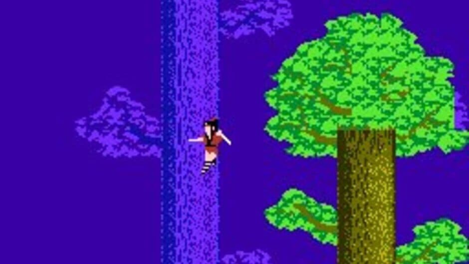 The Legend of Kage screenshot 5