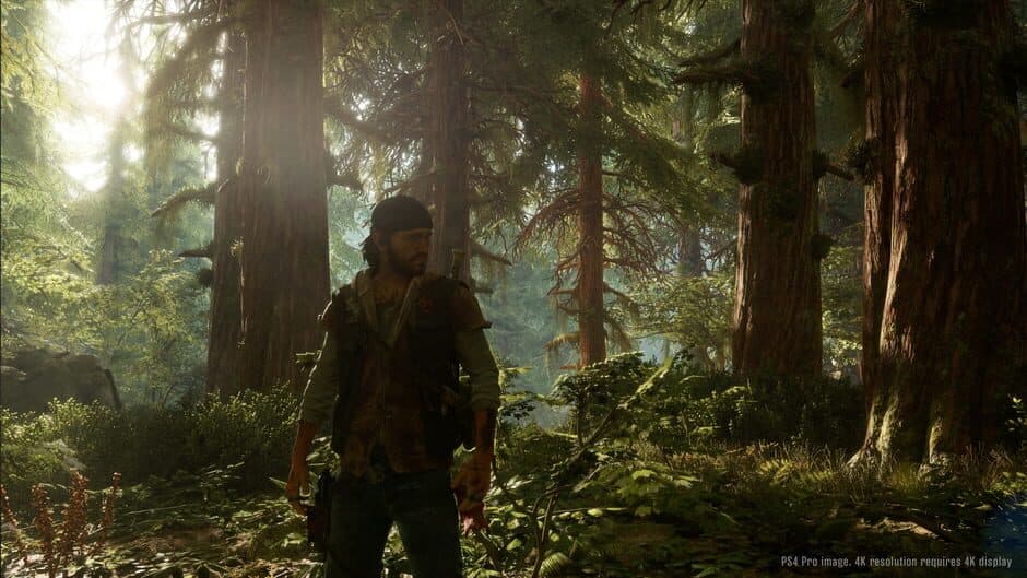 Days Gone screenshot 6