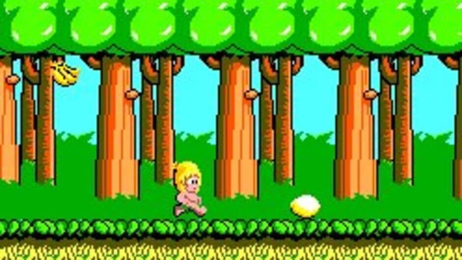 Wonder Boy screenshot 2