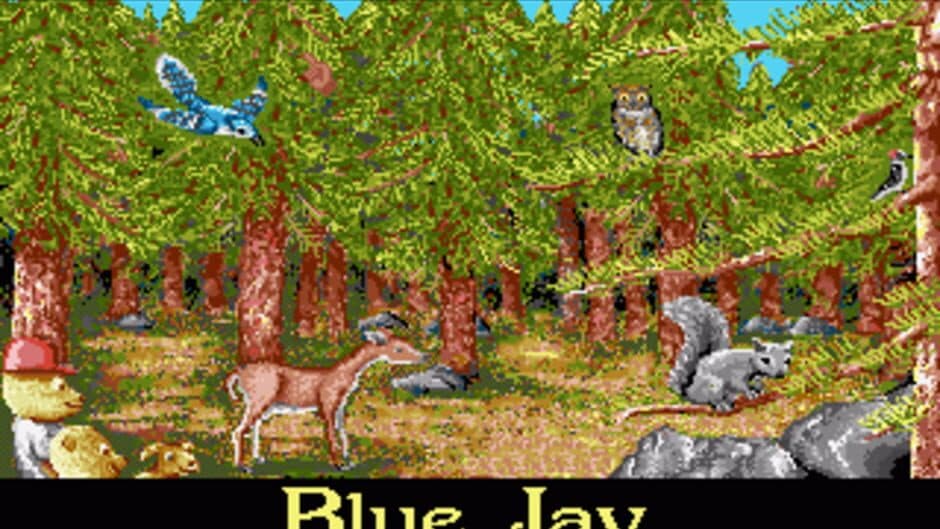 Barney Bear Goes Camping