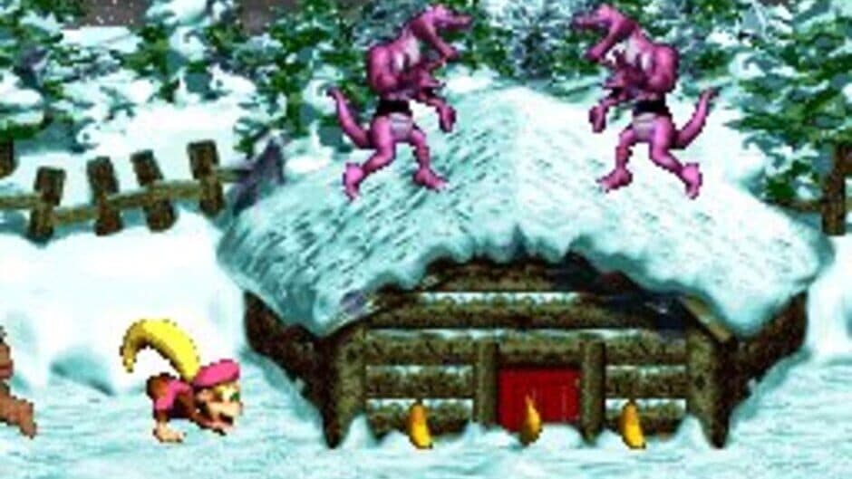 Donkey Kong Country 3: Dixie Kong's Double Trouble! screenshot 4