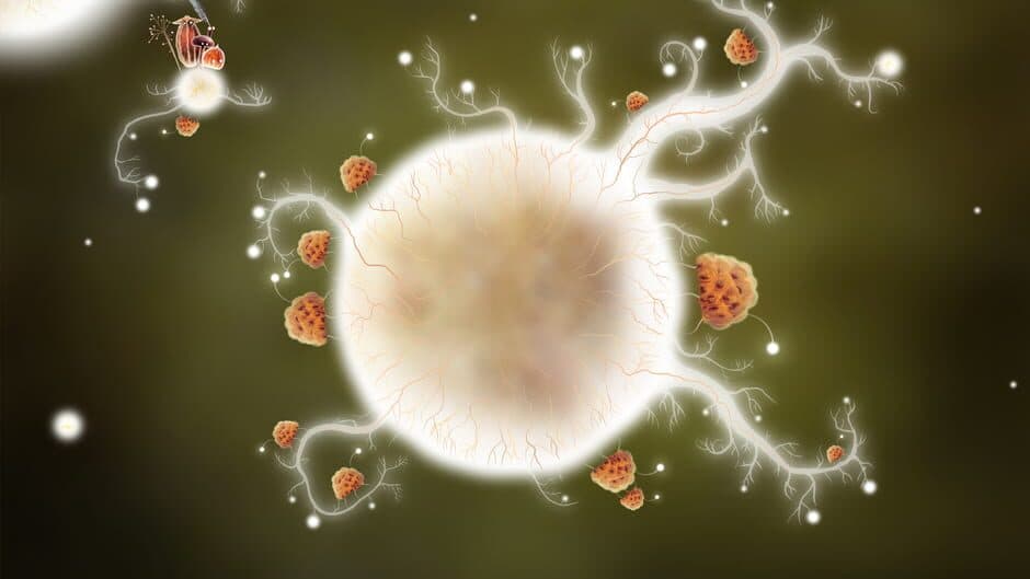 Botanicula screenshot 4