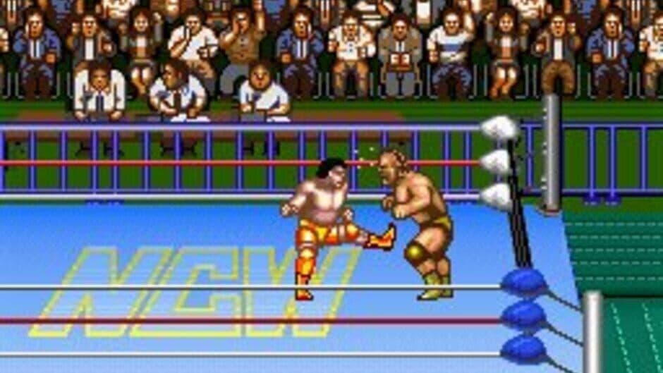 Natsume Championship Wrestling screenshot 2