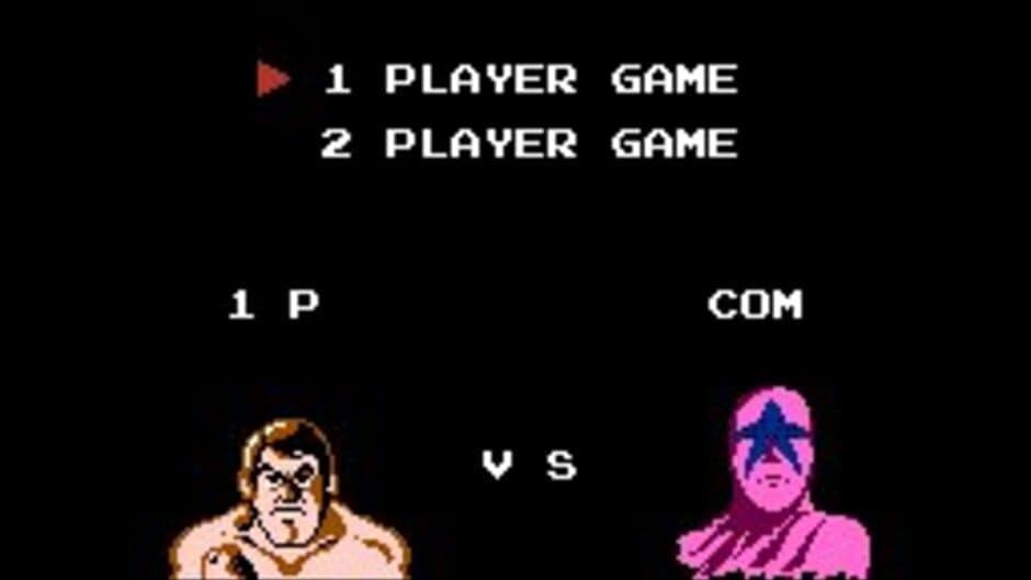 Pro Wrestling screenshot 6